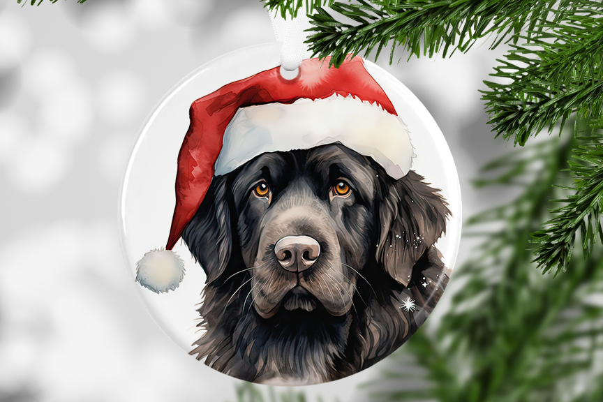 Christmas Hat - Dog Breeds