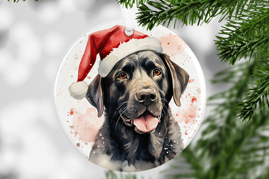 Christmas Hat - Dog Breeds