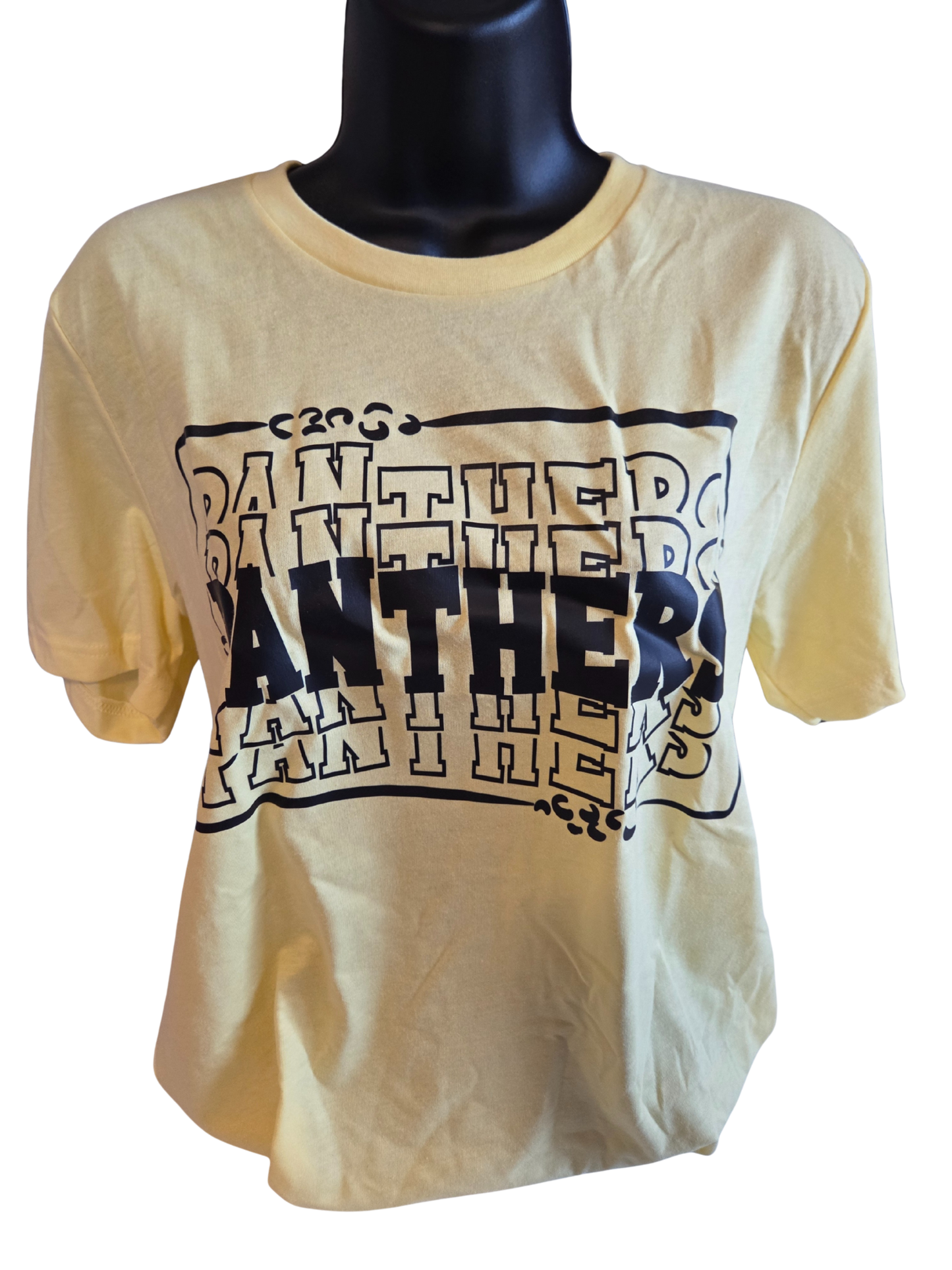 Panthers Stacked T-Shirt